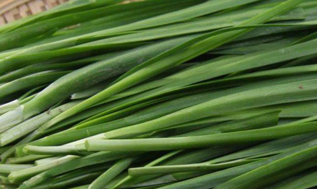 啥菜能治疗便秘 0a5fab6881f745daaa7bc2e662bd9c5b.jpeg