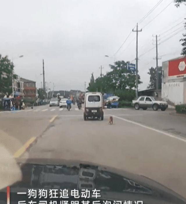 723079982a7241dca7bb8fedcf215a4b.jpeg