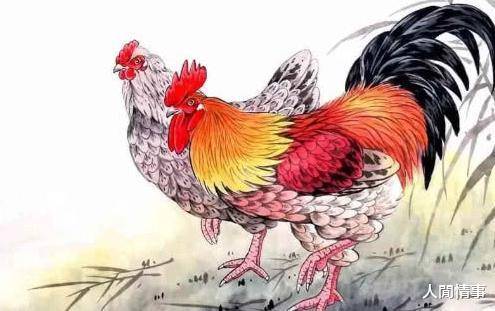 属鸡金命做什么生意 属鸡金命的三个财富密码：烧烤摊主如何十年开出百家连锁店？