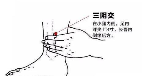 如何调理脾虚和湿气重 02e33c27ef2c47149976e457500b8a8a.jpeg