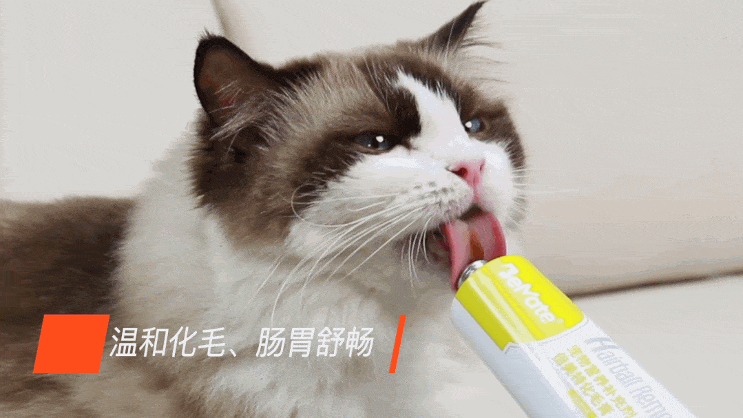 1079_607gif 动态图 动图