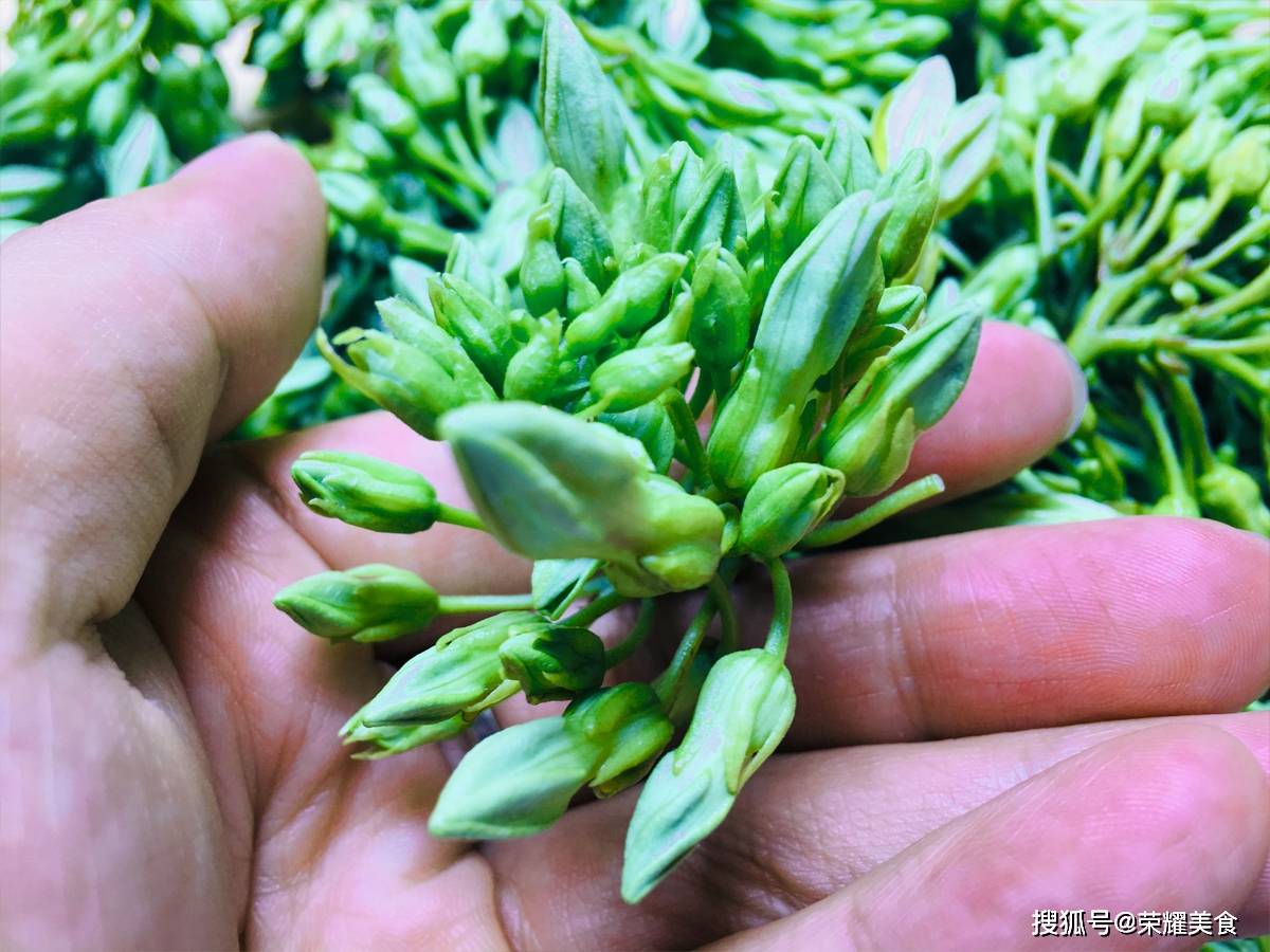 5月遇见此花别错过用它煮汤口感鲜美是两广地区人们的挚爱