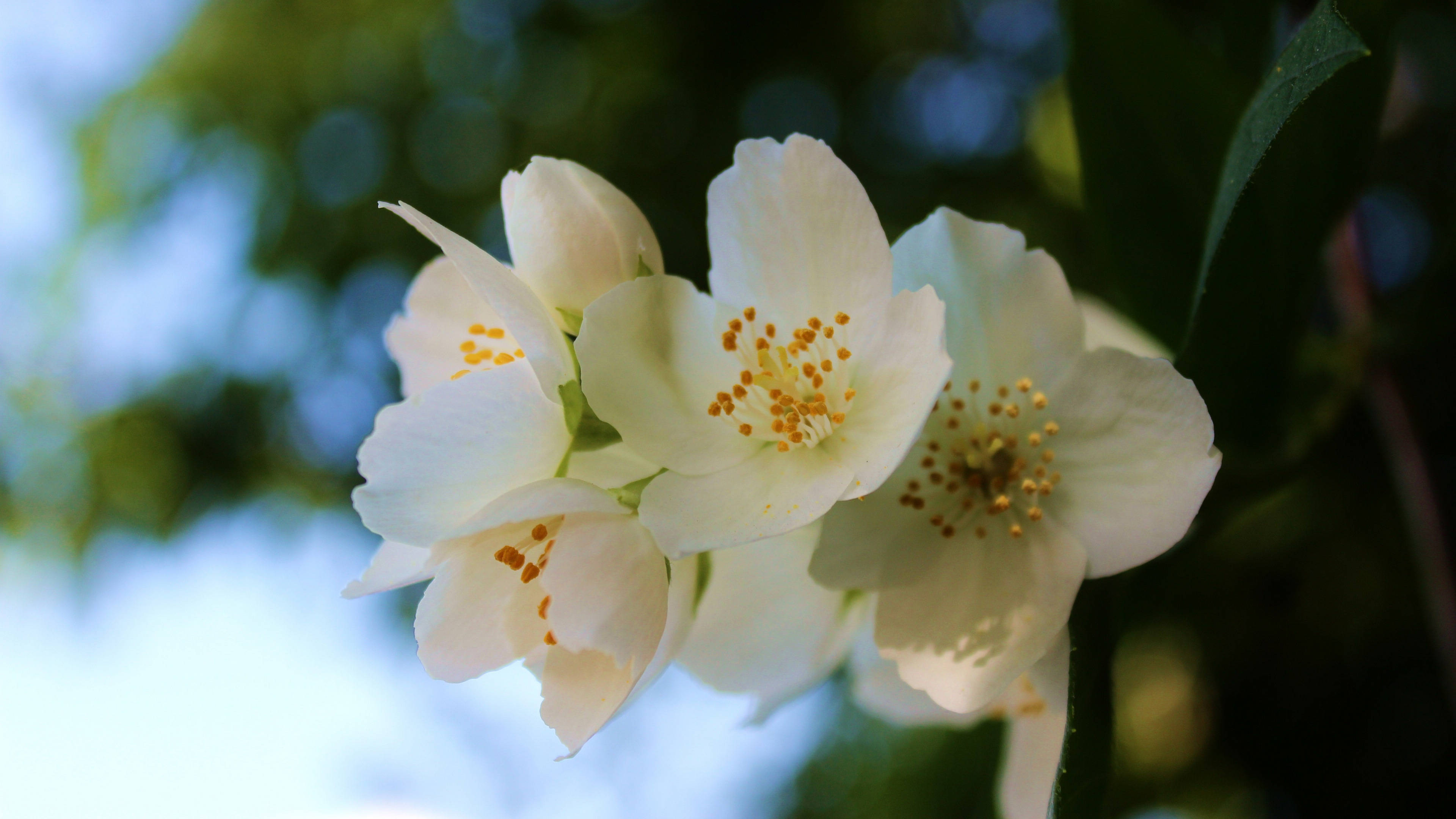 5月23日 29日星座运势 金牛座信心十足 水瓶座坚持到底 未来