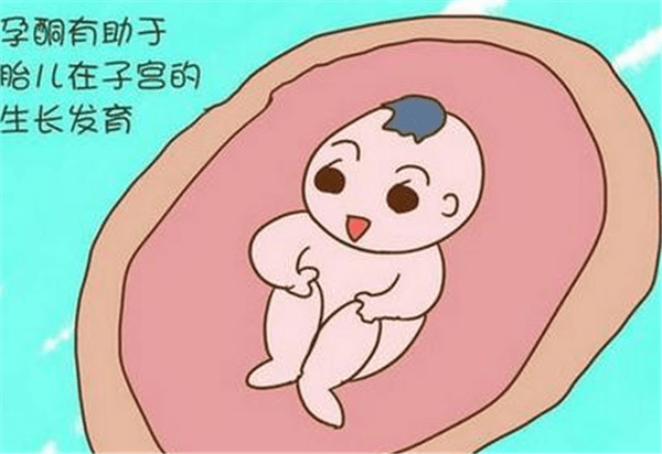 e61d110d263447fbbd345687cf8b41ea.png