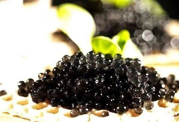 风干鲟鱼怎样做好吃看看酒店大厨的做法鲜香美味一条不够吃