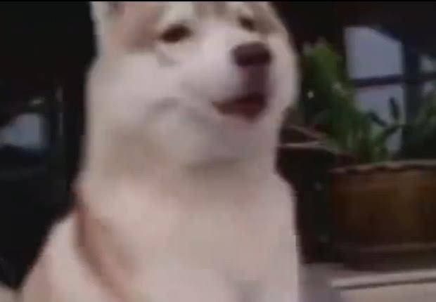 06156e88f1264f6bae93d7c2f9b06f18.jpeg