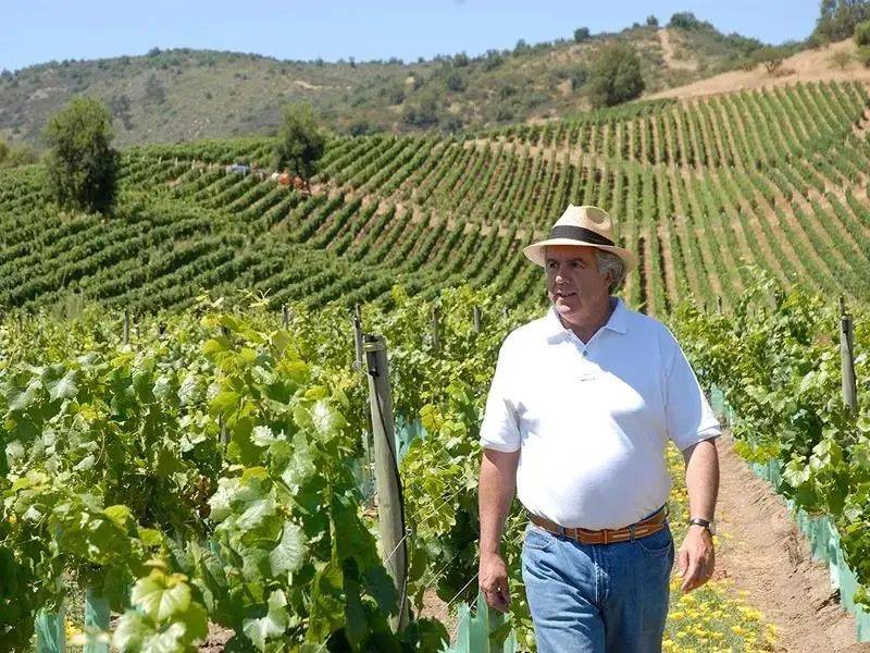 Wines|Wines of Chile明星阵容亮相Wine to Asia 2021,呈现智利魅力!