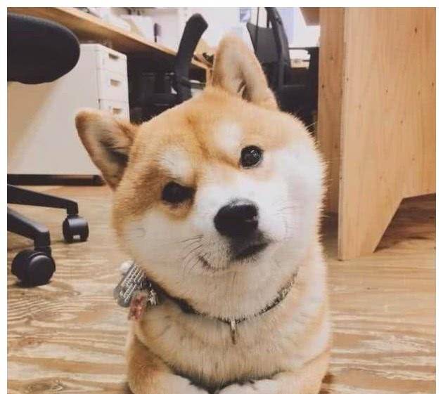 扶墙走是什么意思 81a4c072624b4e3484a113724e2a54d6.jpeg