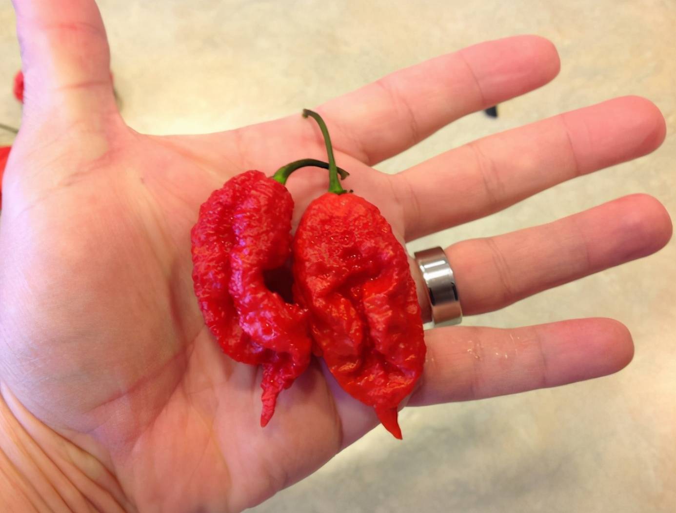 全球最辣的6种神级辣椒魔鬼辣不算啥图6闻一下能灼伤嗓子