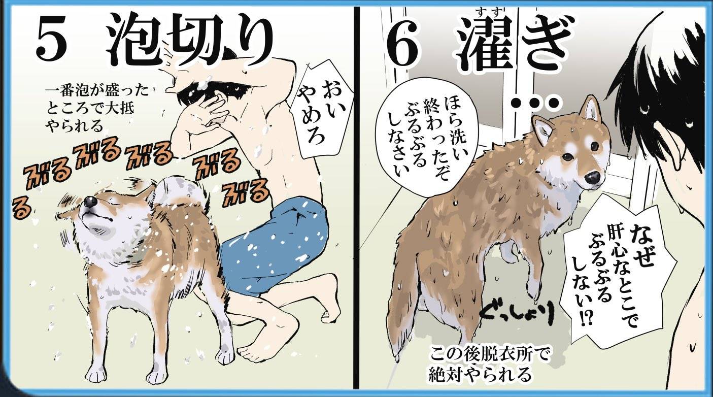 图片[3]-日本画师分享给狗狗洗澡的全过程，各种逃跑可太真实了-魔性次元