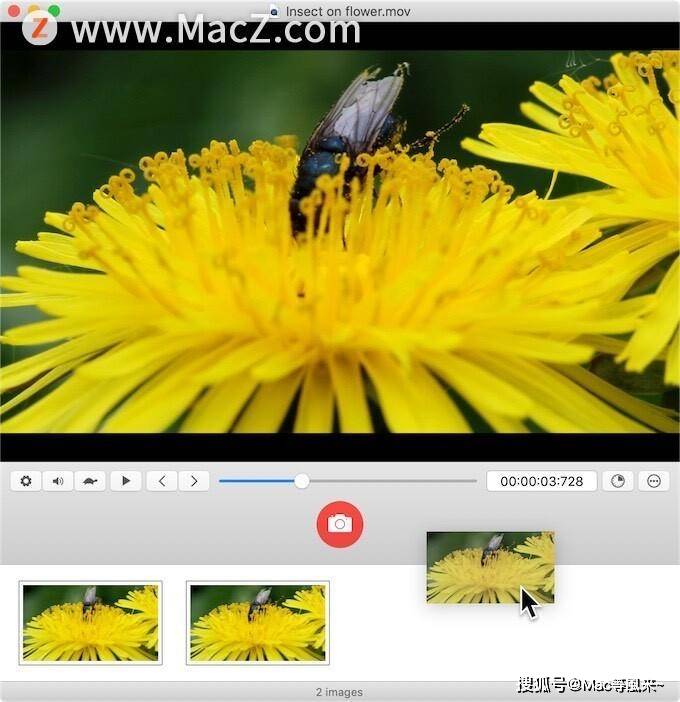 mac snapmotion mac snapmotion