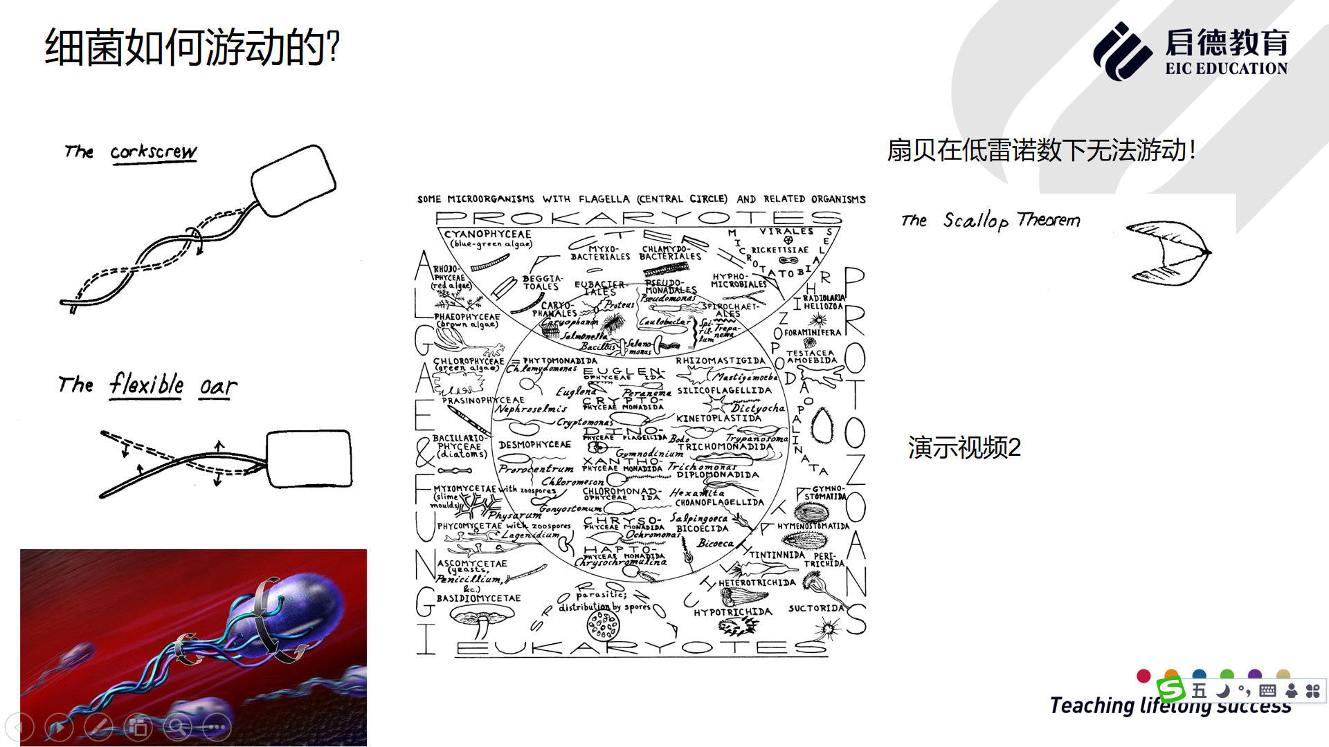 生物|美国留学：兴趣、想象力和好奇心是驱动科研的最大动力