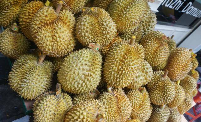 2, 看尖刺榴莲其实是分为公母的,买榴莲的时候一般都是一堆榴莲放在