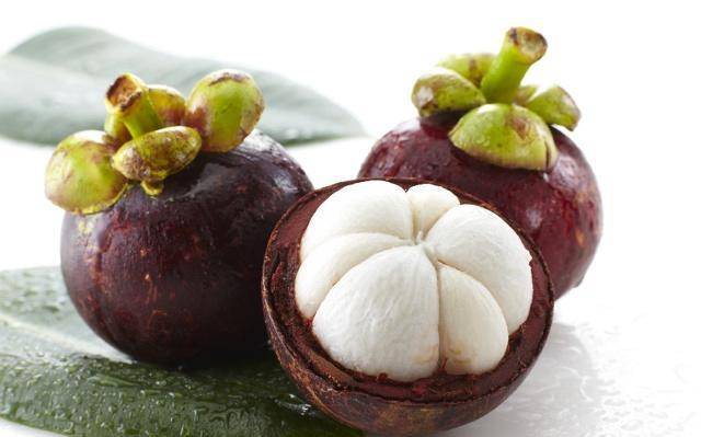 哈密瓜怎么种啊 723277b3a72a4defa98eeef0e2cac9f3.jpeg