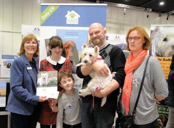 世界上最平民化的宠物狗大会狗狗们躺在地上由你随便摸 网易