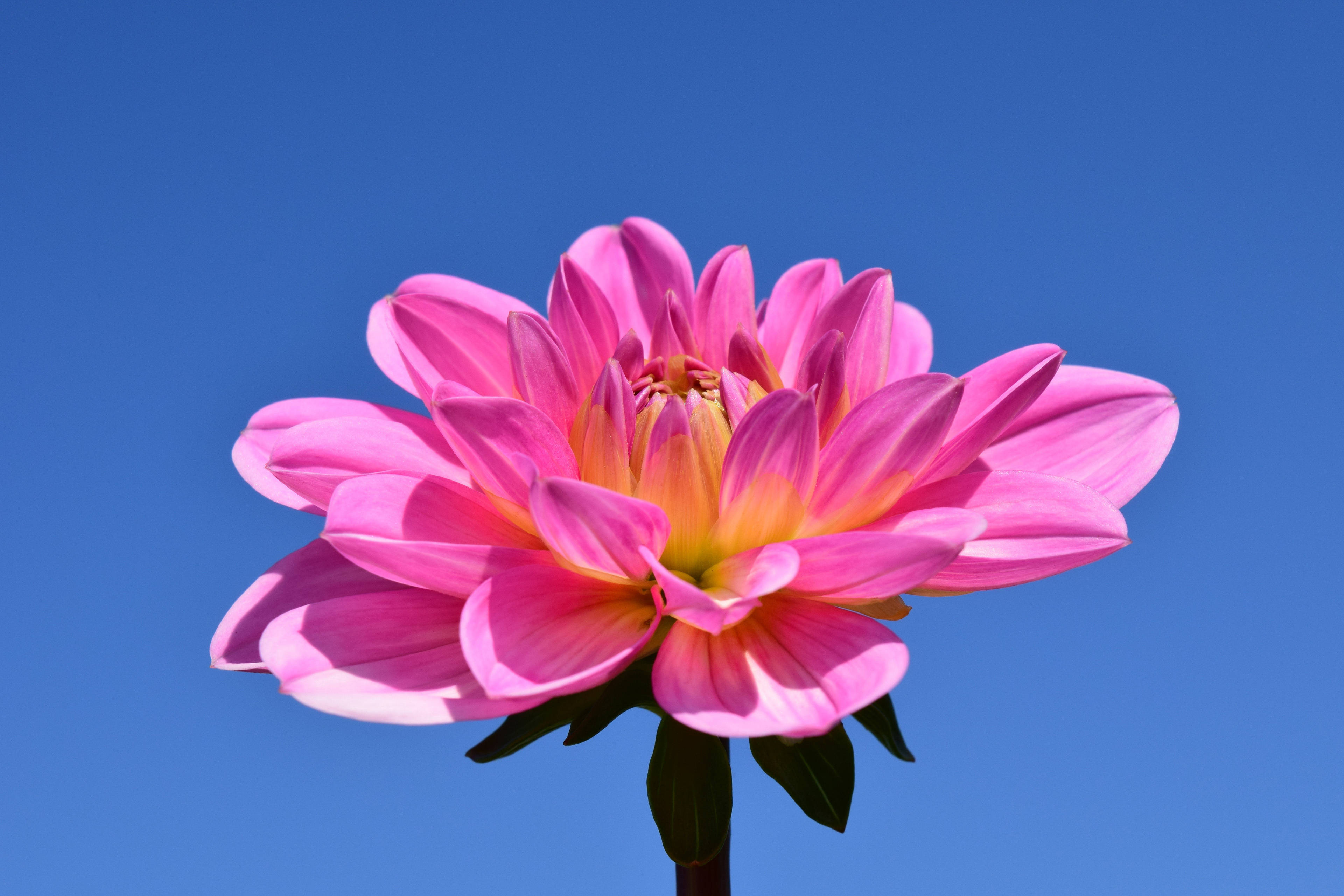 6月1日 30日星座运势 金牛座多谋善断 水瓶座头脑清醒 感情