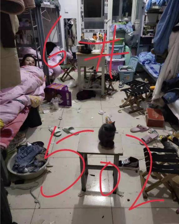 "女朋友出差,她的闺蜜约我晚上出去玩我该注意什么"哈哈哈小心女朋友!