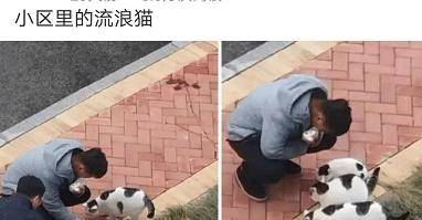 57a1aa8ace234f25b4ccdf8c0305350c.jpeg