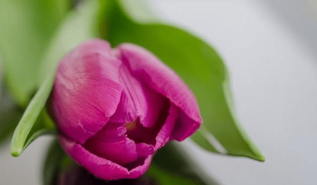 马人5月8日到 苦日子熬到 迎来人生上上签 接不接你说了算 星座 火狐之家