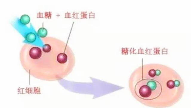 什么时候检查输卵管比较好 dad967613ad94dc7b2b23a2b357dac66.jpeg