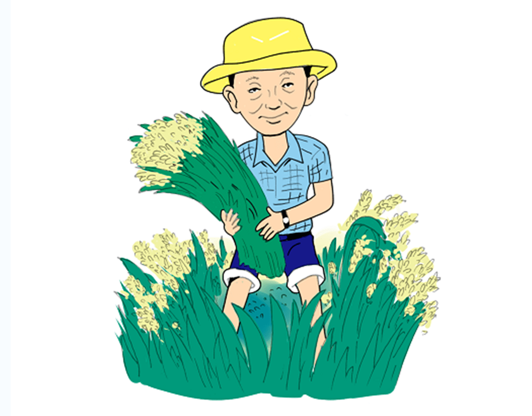 我常和学生们说,电脑和书本里种不出水稻,要多联系实际,多到试验田走