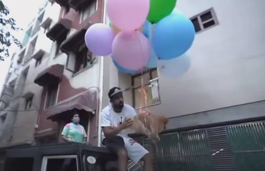 印度网红给狗子身上绑气球，想让它飞天…被警察抓了