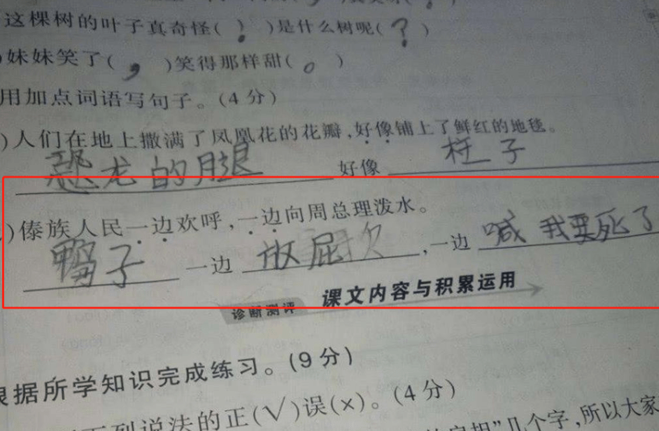 小学生 倒数第一 试卷走红 家庭关系引老师注意 直言太复杂 考试