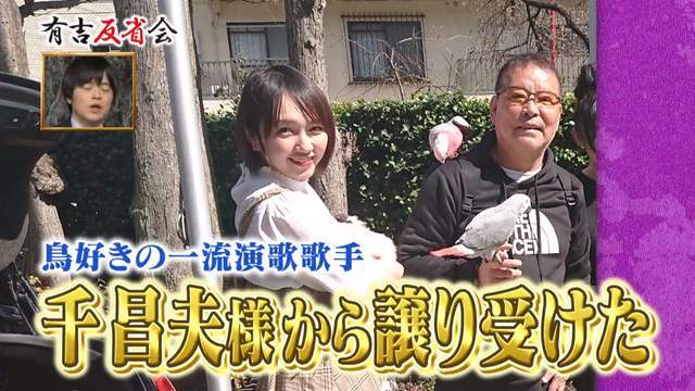 【22】当时绘未花想养乌鸦,于是透过熟人与鸟类爱好家千昌夫认识.