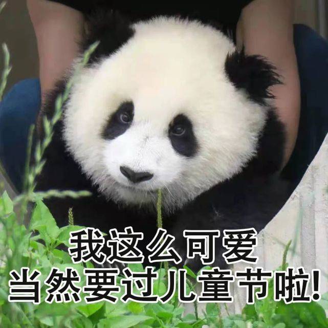 76962a93c72f4e1c8d97a0a39f1fa05f.jpeg