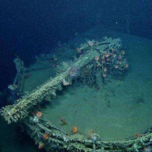 世上最 诡异 的岛屿 船一靠近就沉没 每年还会 跑 100米 小岛