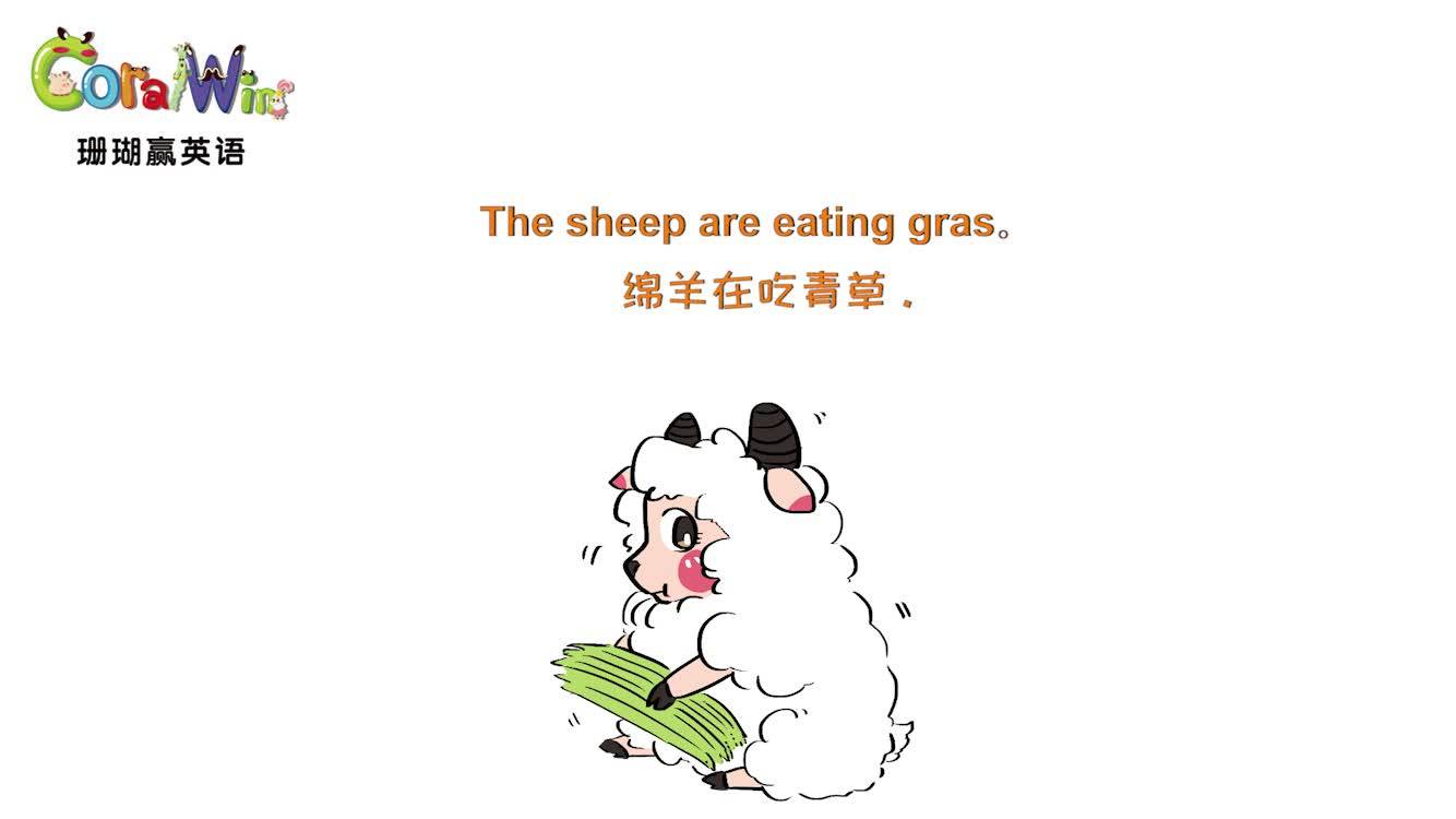巧记剑桥英语ket单词grass