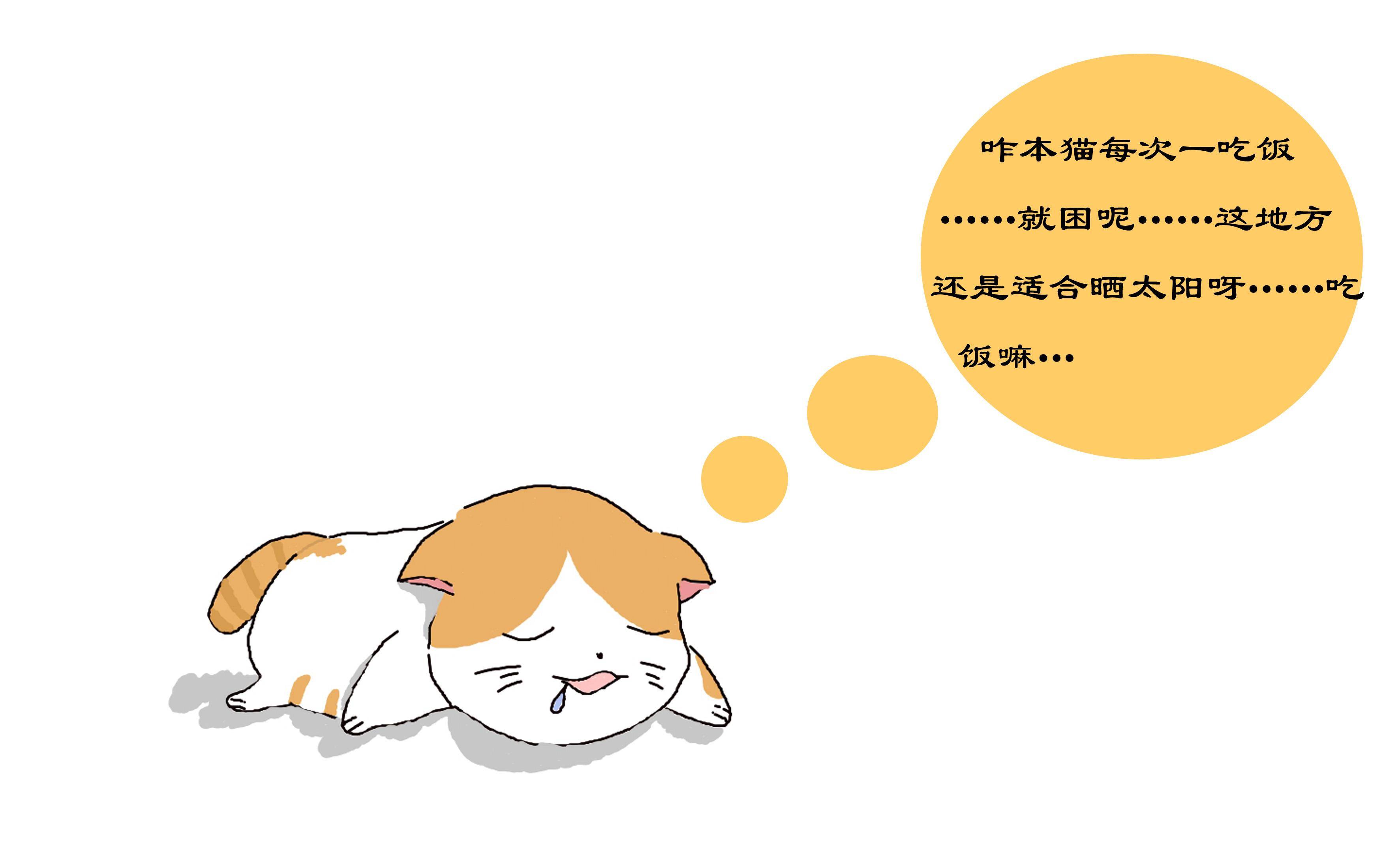 a1cb9a25203d4ad598016f241d657329.jpeg