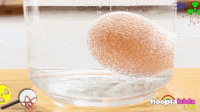 400_225gif 动态图 动图