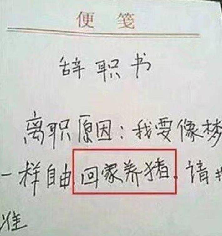 这么好的妹子见不上个面简谱_大胸妹子