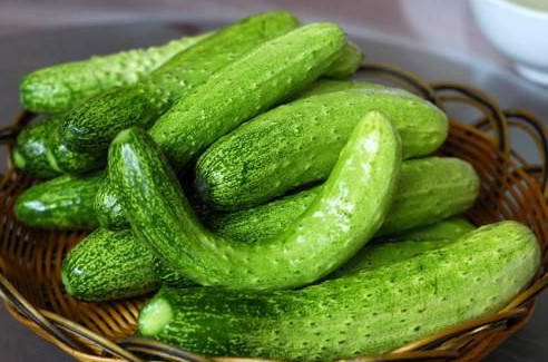 夏天气温高湿气重,汗多体力消耗大,一定要多吃此些时令养生蔬菜_苦瓜