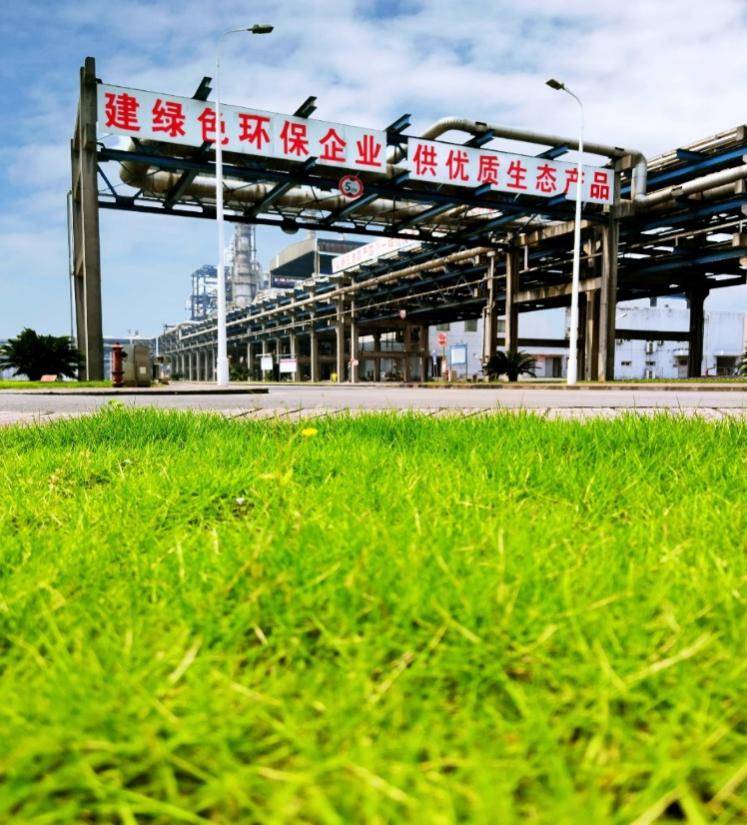 碳排放中长期目标,也是中央经济工作会布置的2021年八项重点任务之一