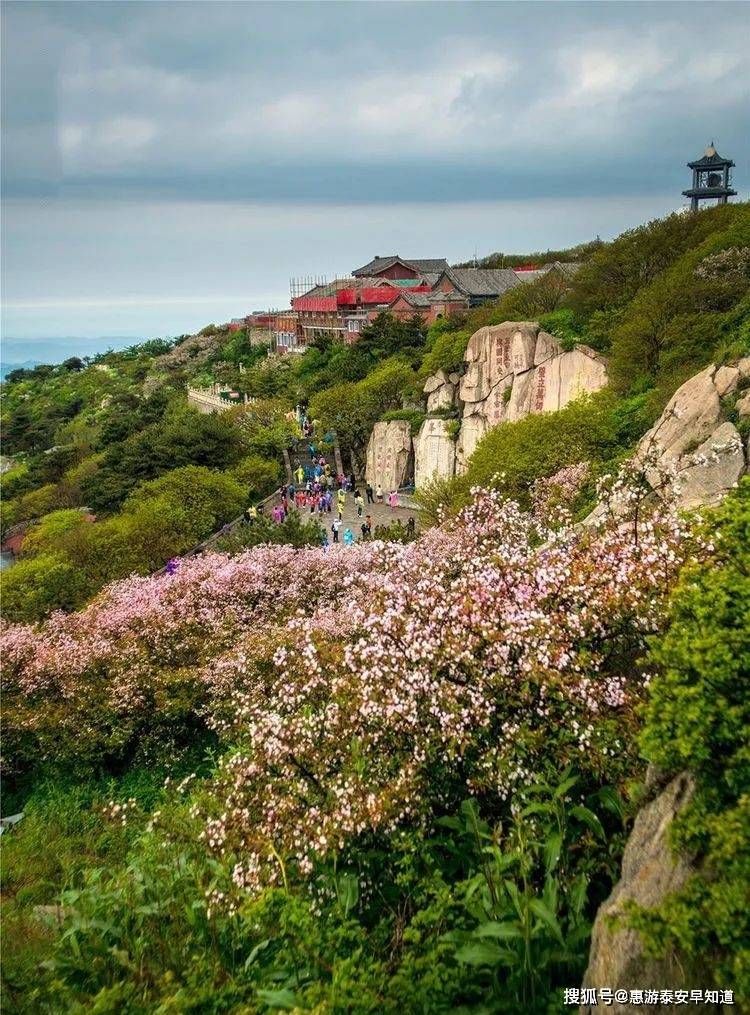 十二小时的守望只为给您看最美的泰山