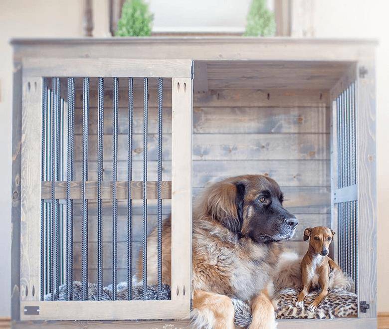 怎么才能让狗狗认识到自己的错误 8a86351a6da544808d74a7e83d83e874.jpeg