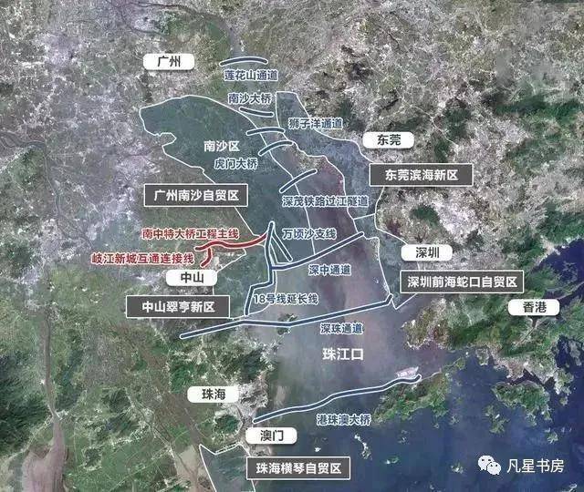 婆婆丁学名叫什么菜 bc46d8a33bee469f963178a6ba46d38b.jpeg