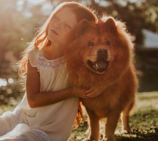 狗为啥不建议送人 dc4394df7bea448d94e82860a3b5f2b7.jpeg