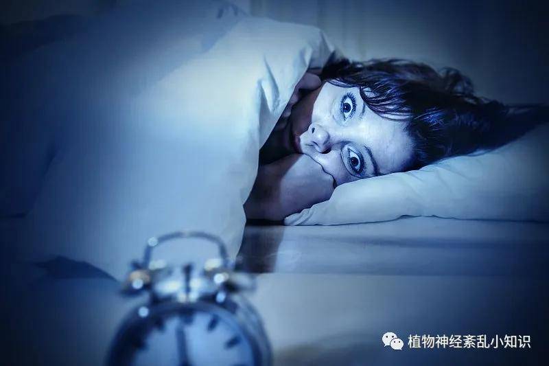 梦境的隐喻，解析梦见自己多了个儿子的深层含义