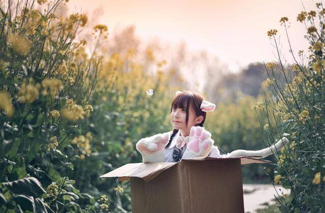 品质的三不原则是什么 4b910d4d5bbb4d3f997b9fb2d3bc1a5d.jpeg