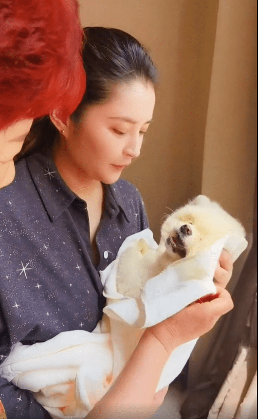 原创李心艾减肥收效甚微身材壮硕被质疑怀孕生子晒恶搞视频否认生子胖