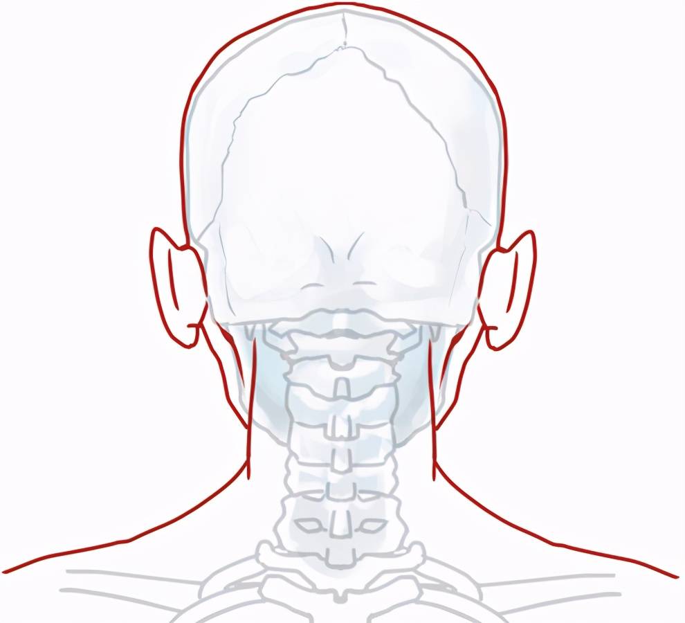 動漫人物後腦勺怎麼畫教你一招學會畫各角度的人物頭部畫法