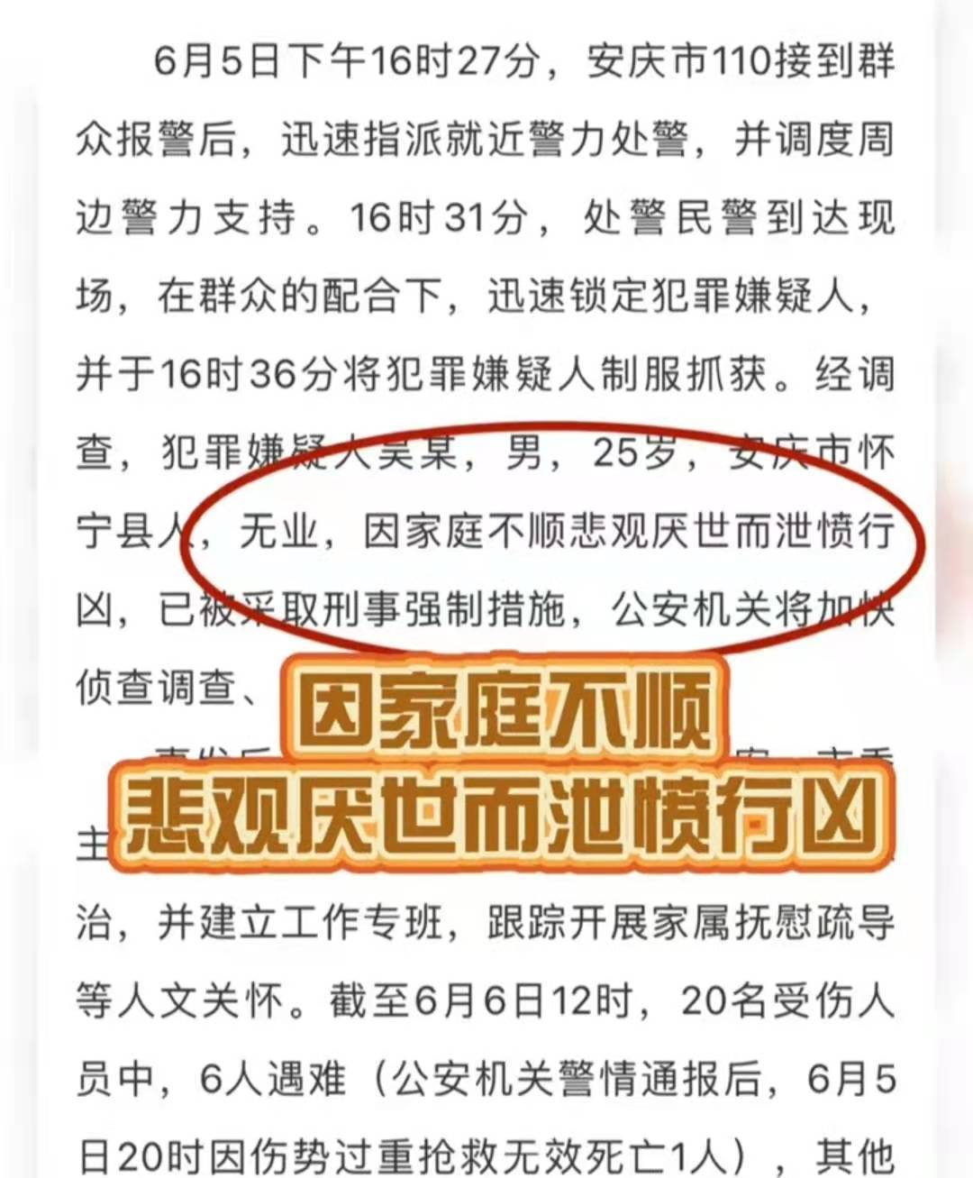 安庆市迎江区"6.5"伤人案件系因家庭不顺悲观厌世而泄愤_报复