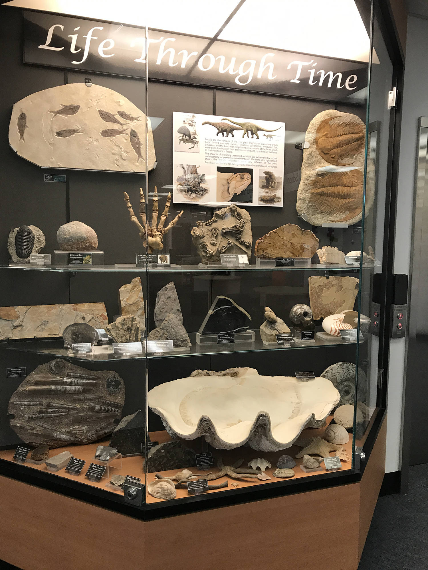 南十字星大学很难进吗 学科