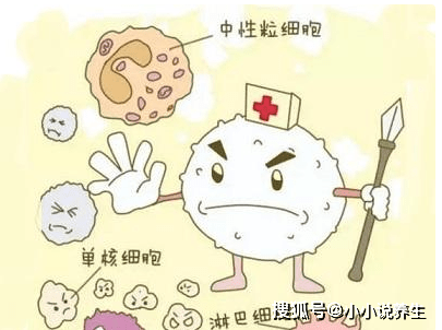 d143660773744790a48366ca1cae129d.png