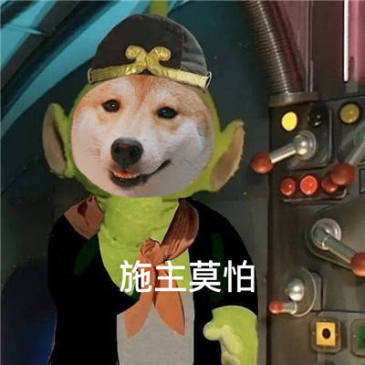 柴犬版新西遊記搞笑表情包