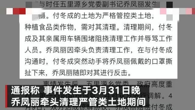 河南女副书记掌掴村民耳光事后赔偿1万元官方通报村民先动手