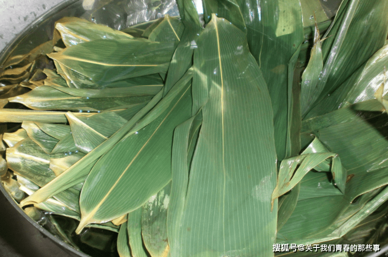 ⑤箸叶有意思的是,在民间,人们把箸叶俗称为粽叶,广泛分布于丛山峻岭